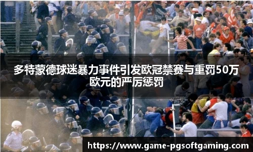 多特蒙德球迷暴力事件引发欧冠禁赛与重罚50万欧元的严厉惩罚