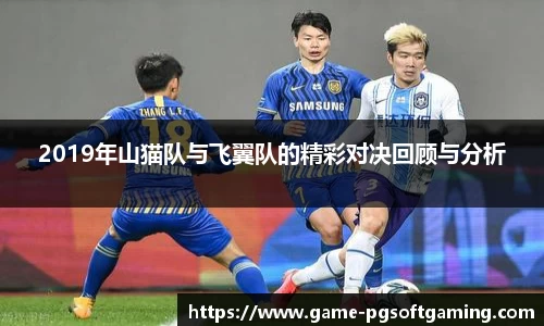 2019年山猫队与飞翼队的精彩对决回顾与分析