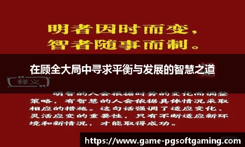 在顾全大局中寻求平衡与发展的智慧之道
