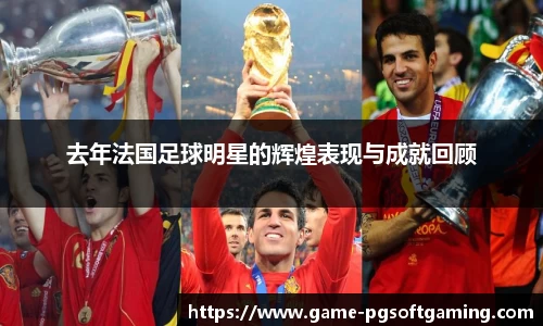 去年法国足球明星的辉煌表现与成就回顾